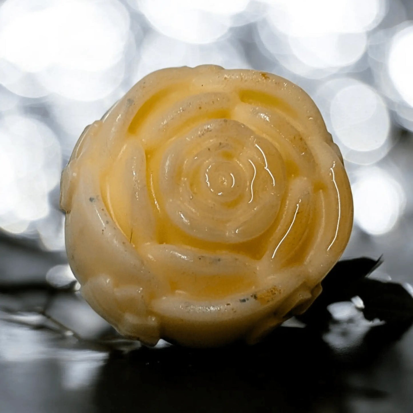 Shampoo & Conditioner Bar Gift Set - Coconut Cream - Bombshell Cosmetics