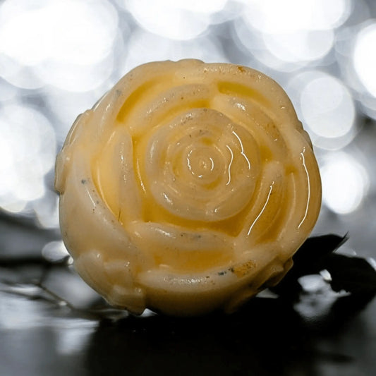 Shampoo & Conditioner Bar Gift Set - Coconut Cream - Bombshell Cosmetics