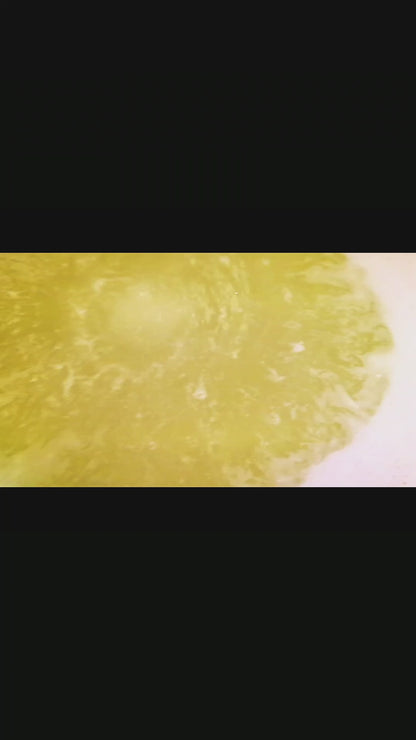 Holiday Bath Bomb