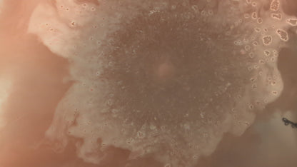 Autumn Leaves Bath Bomb