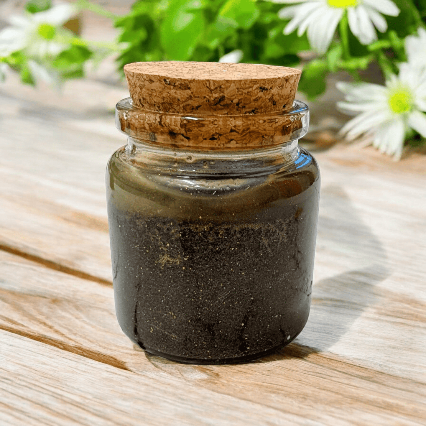 Luscious Lip Scrub - Chocolate 🍫 - Bombshell Cosmetics