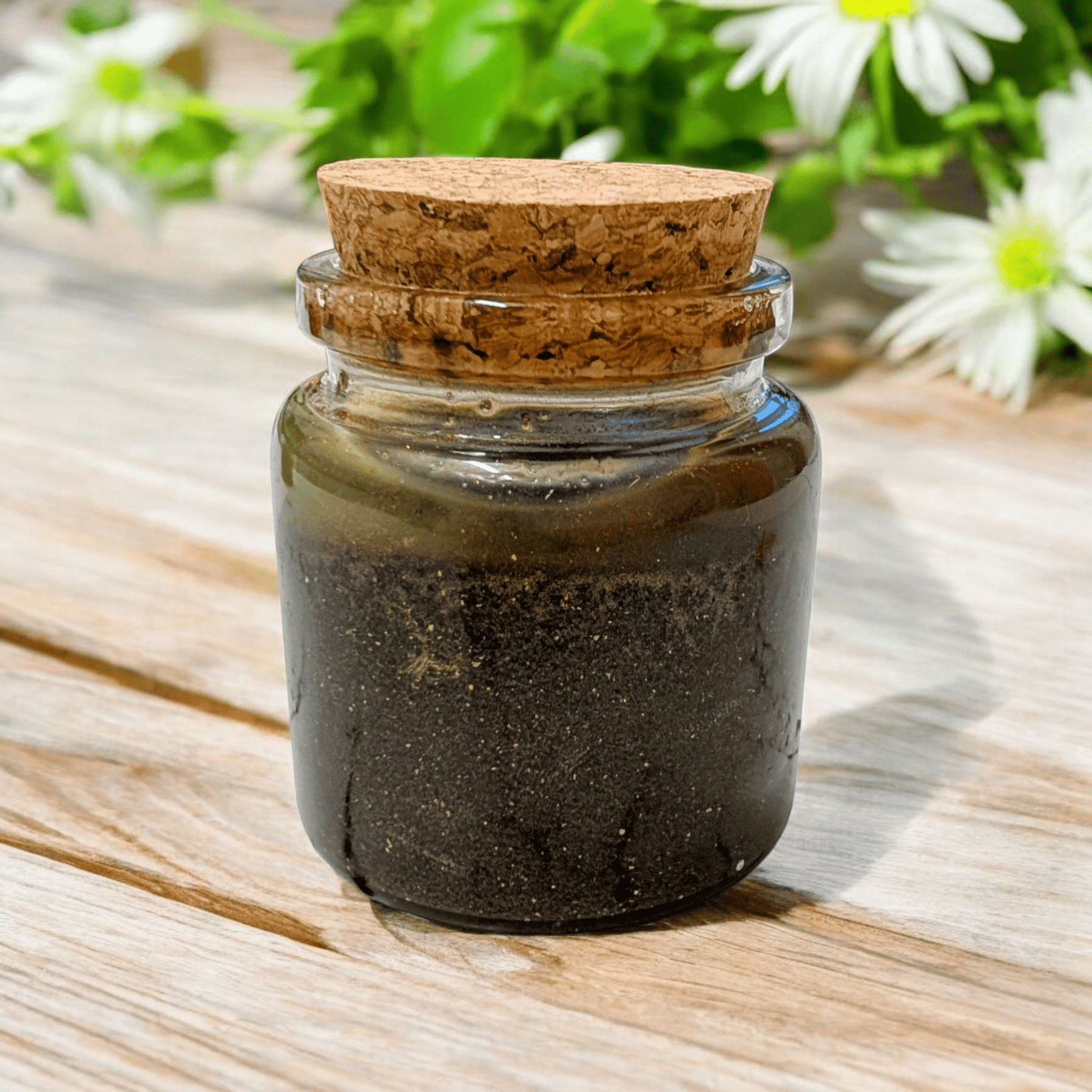 Luscious Lip Scrub - Chocolate 🍫 - Bombshell Cosmetics