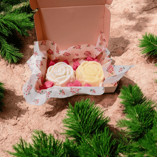 Shampoo & Conditioner Bar Gift Set - Coconut Cream - Bombshell Cosmetics