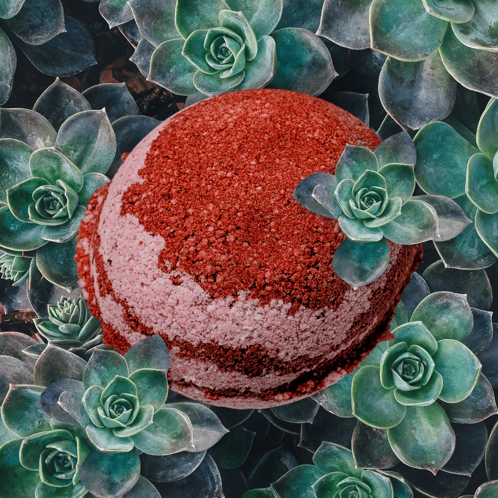 Bed of Roses Bath Bomb - Bombshell Cosmetics