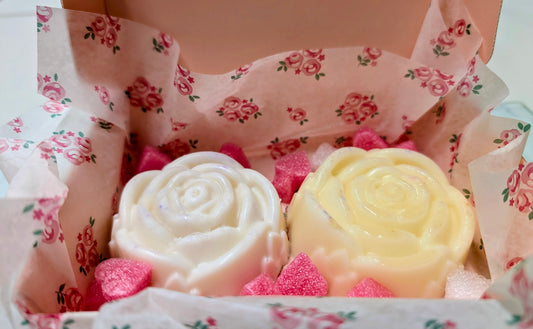 Shampoo & Conditioner Bar Gift Set - Coconut Cream - Bombshell Cosmetics