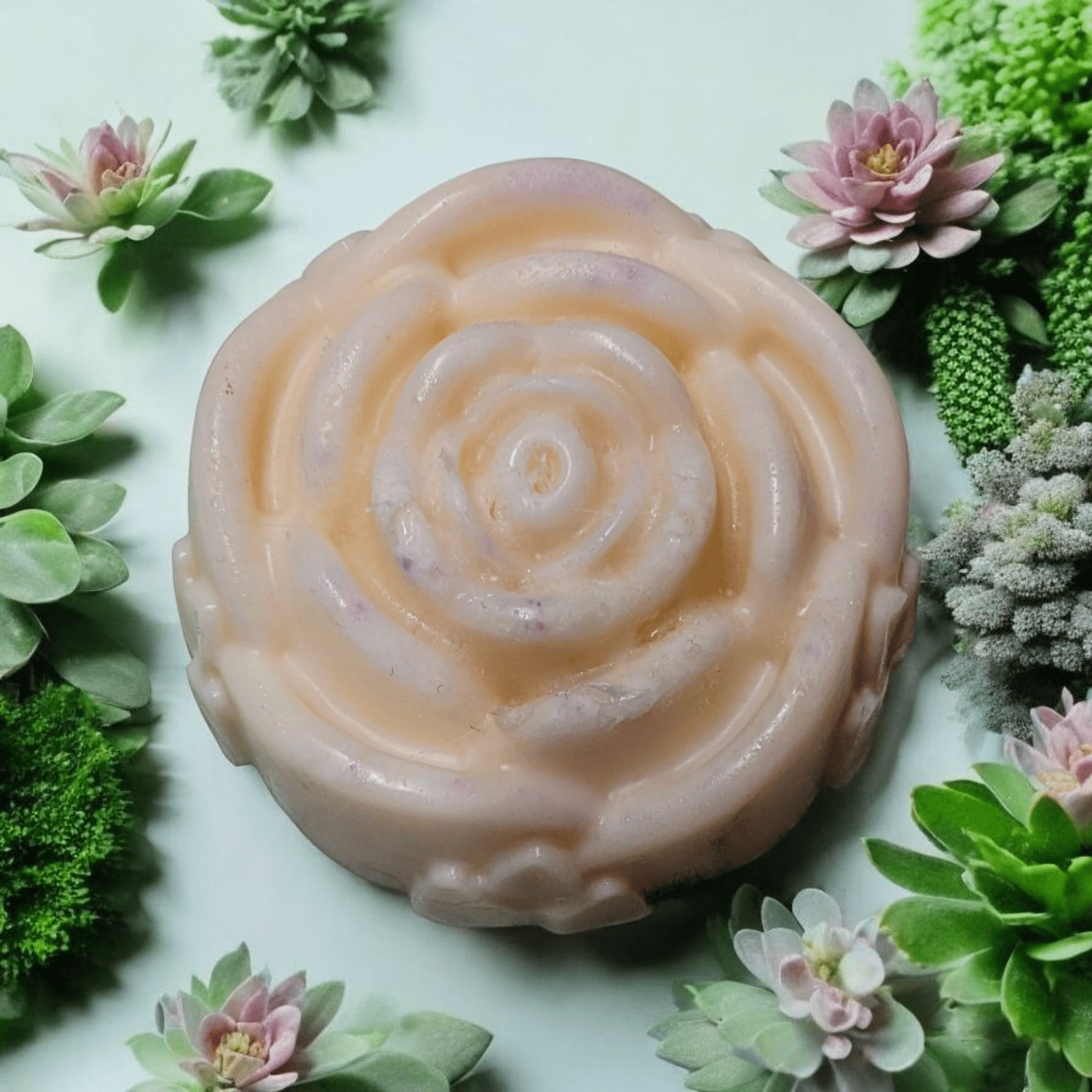 Coconut Cream - Shampoo Bar - Bombshell Cosmetics
