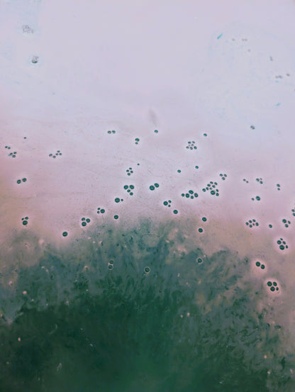 Winter Sprite Bath Bomb