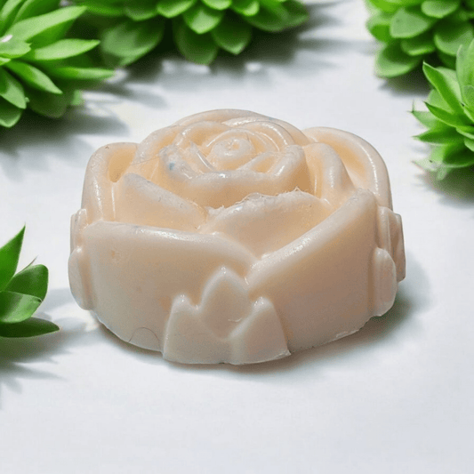 Shampoo & Conditioner Bar Gift Set - Coconut Cream - Bombshell Cosmetics