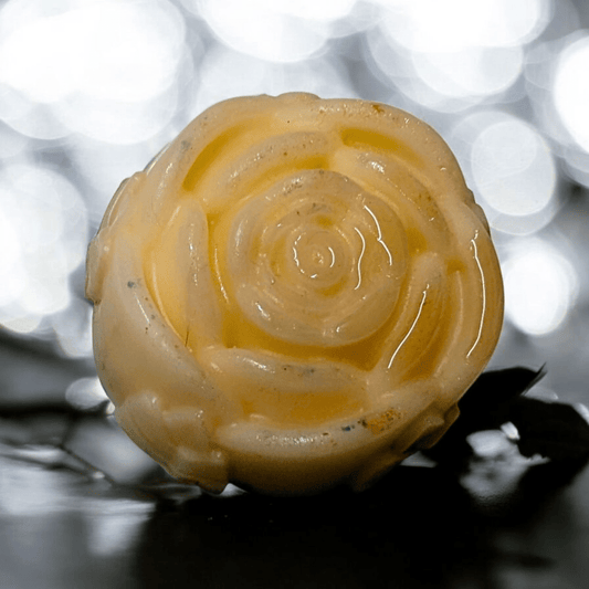 Shampoo & Conditioner Bar Gift Set - Coconut Cream - Bombshell Cosmetics