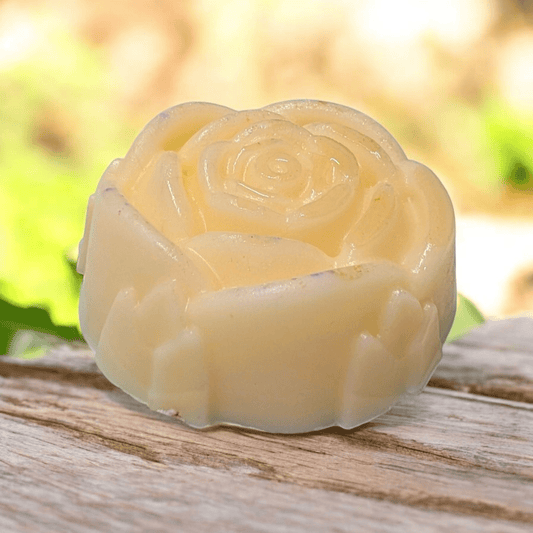 Coconut Cream - Solid Conditioner - Bombshell Cosmetics